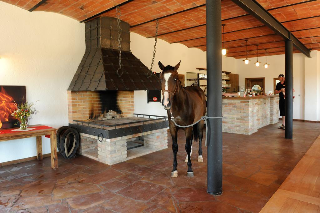 Hôtel Ranc Milovice à Milovice  Extérieur photo